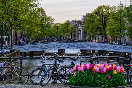 Amsterdam city view